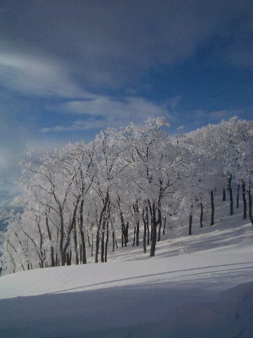 AiesecSki2005_2